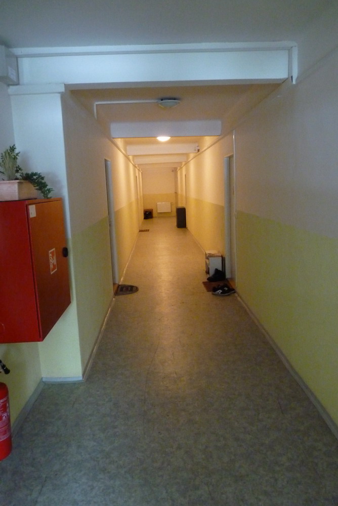P1020016.JPG