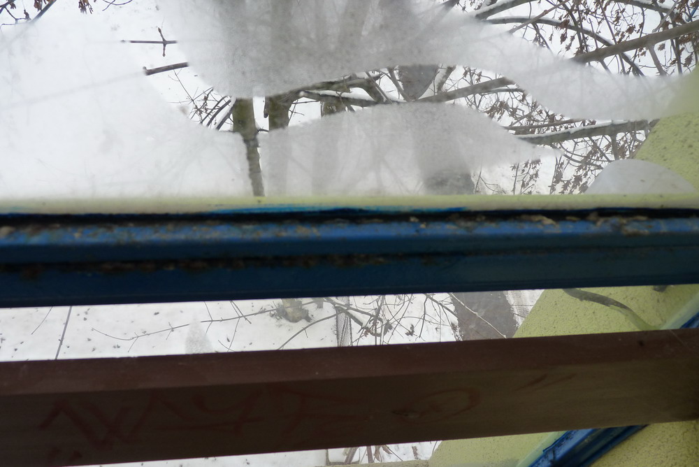 P1020009.JPG
