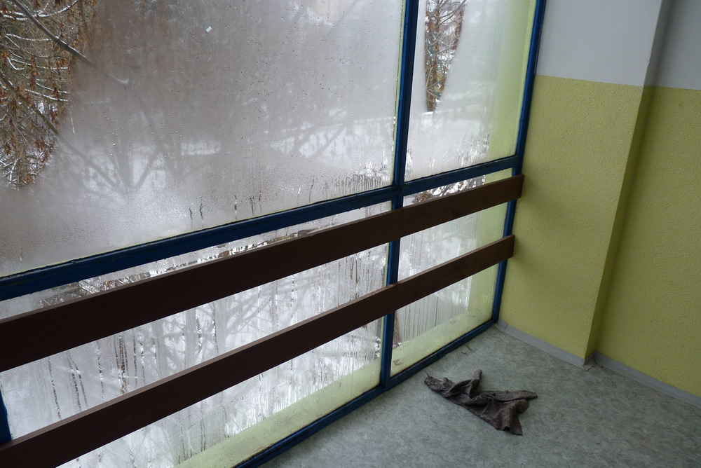 P1020011.JPG