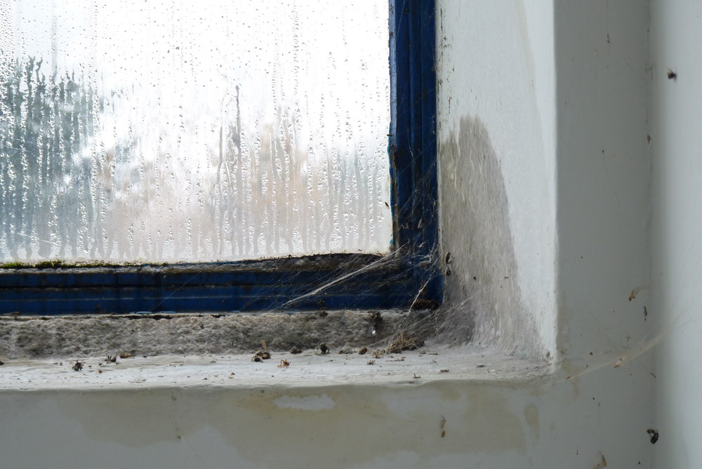 P1020013.JPG