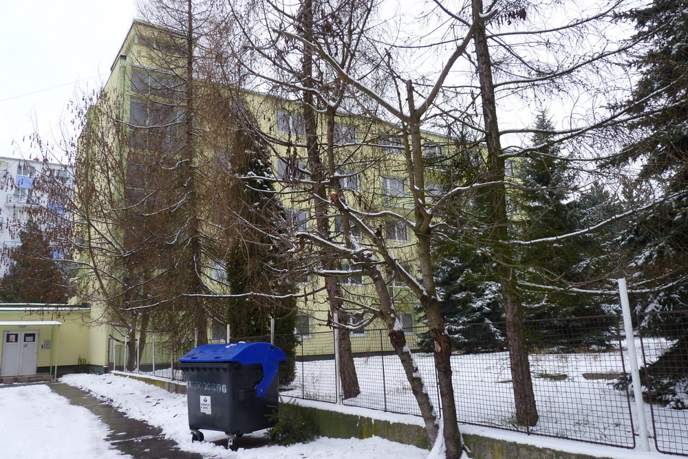 P1010994.JPG