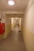 P1020017.JPG