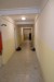P1020012.JPG