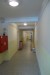 P1020010.JPG